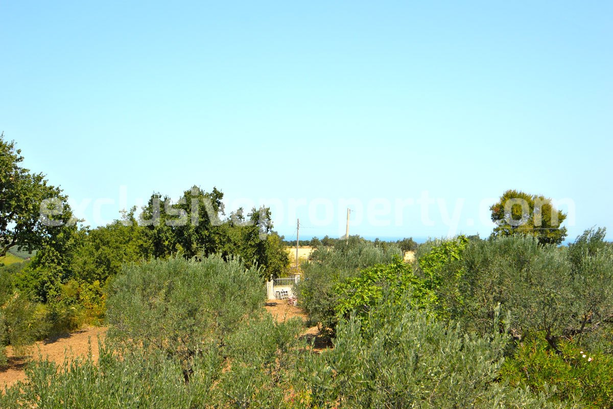 House with sea view and land with olive trees for sale a few km from the beach