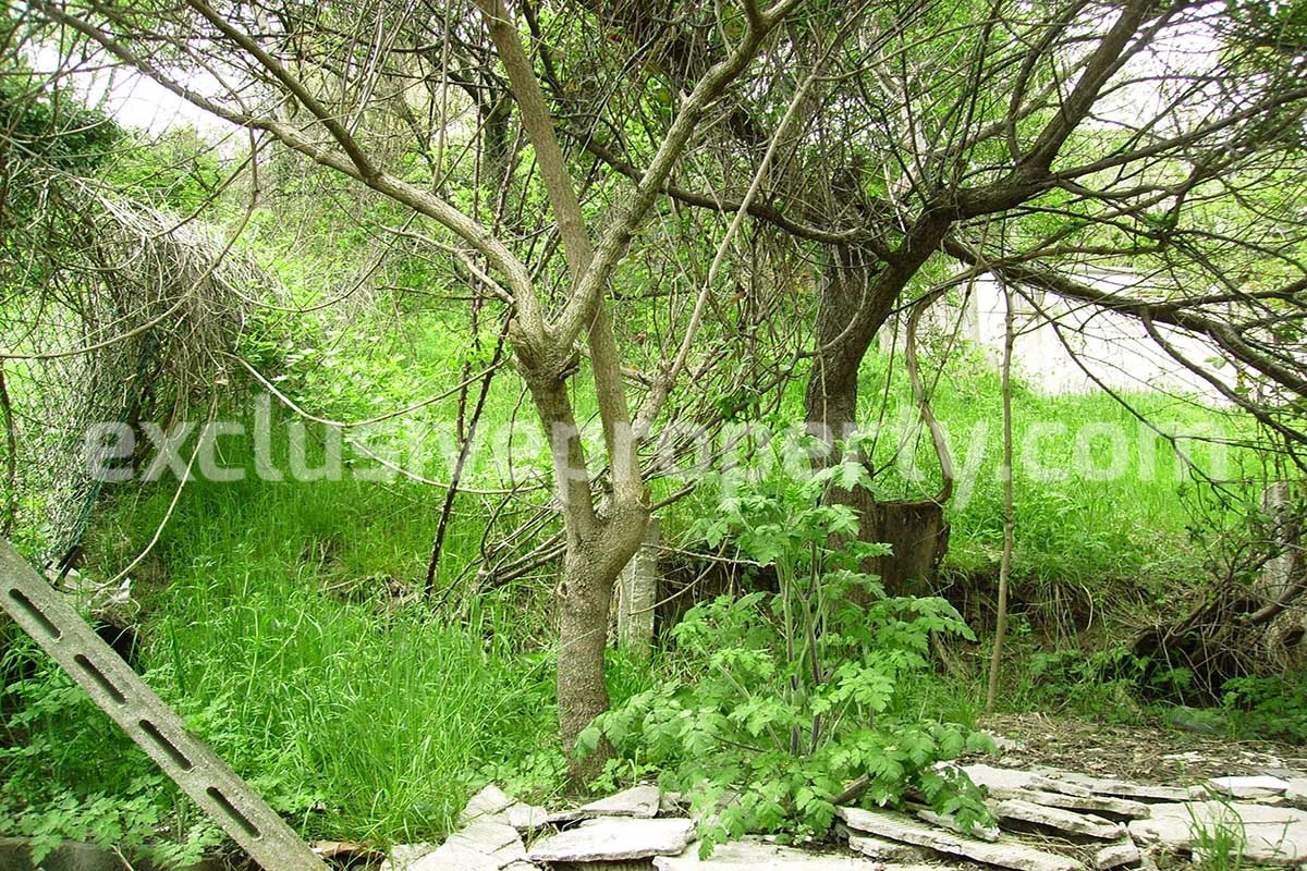 House with garden and garage for sale in Abruzzo