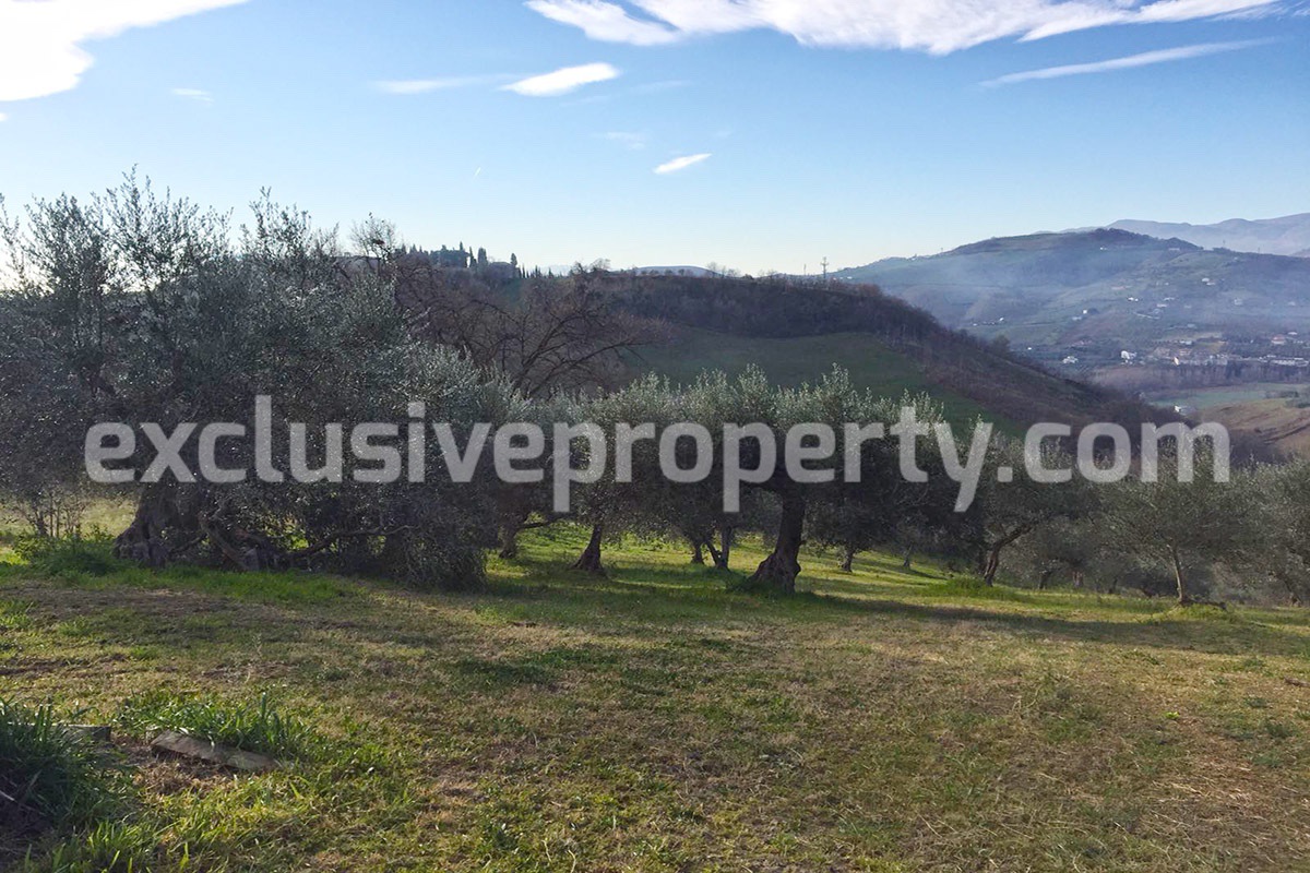 Independent house with land and olive trees for sale in the Province of Teramo