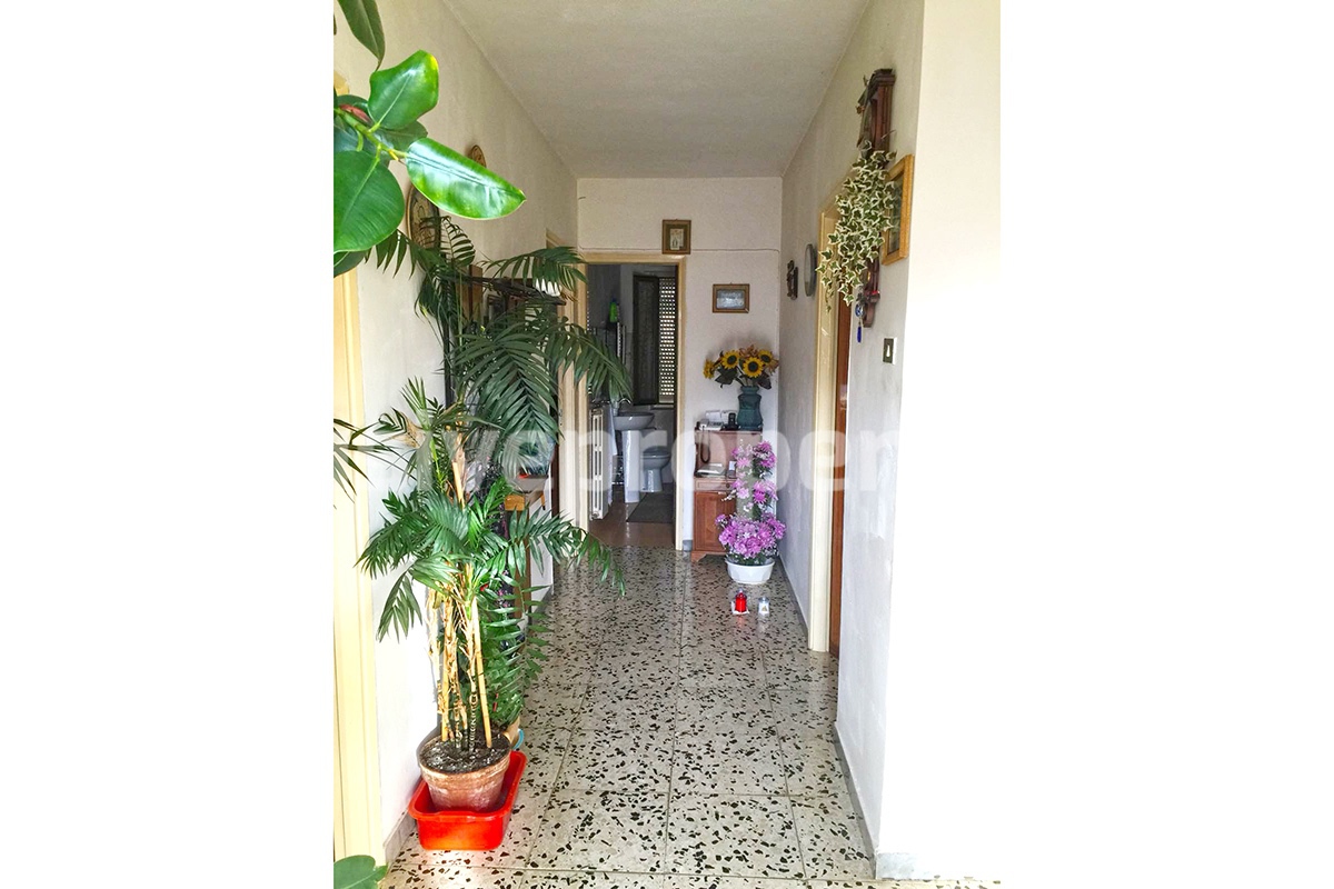 Independent house with land and olive trees for sale in the Province of Teramo 6