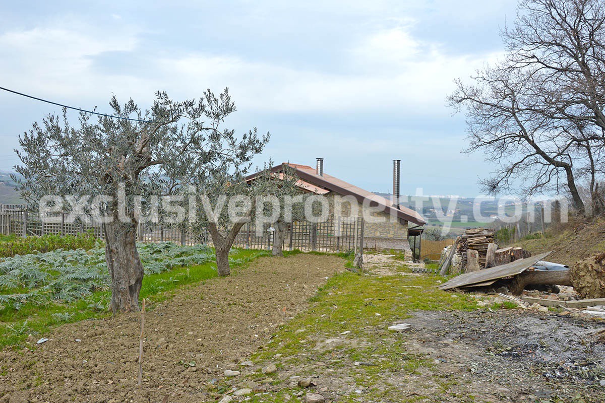 Big stone cottage with olive grove for sale in Cupello close to the sea 22