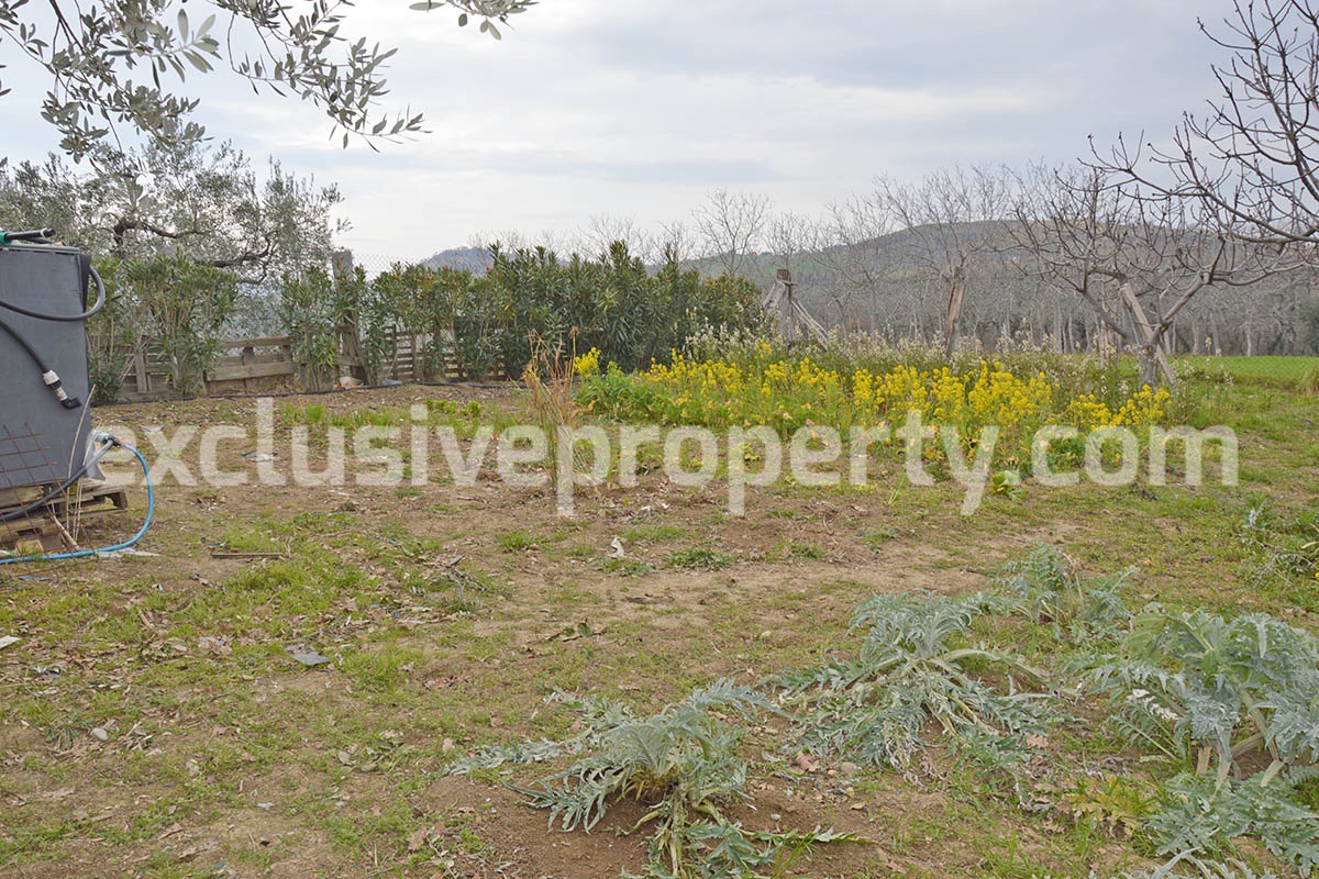 Big stone cottage with olive grove for sale in Cupello close to the sea 19