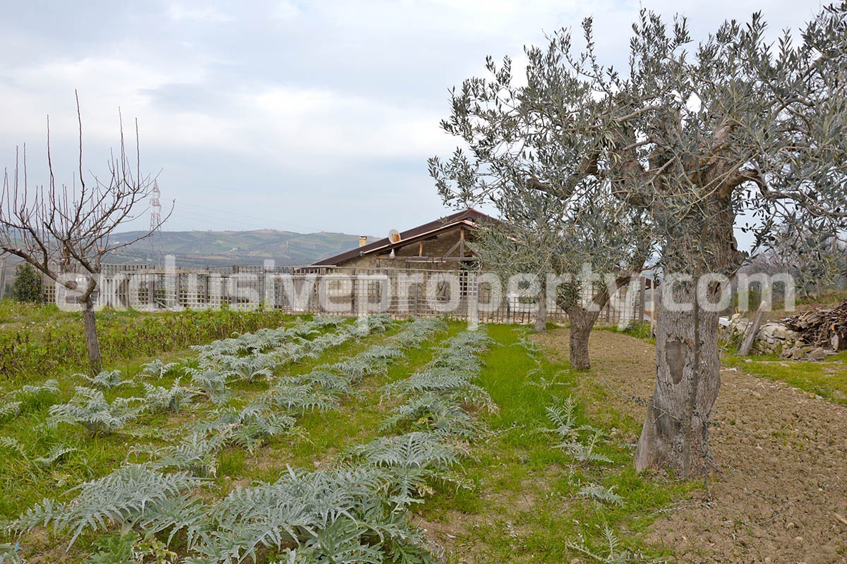 Big stone cottage with olive grove for sale in Cupello close to the sea
