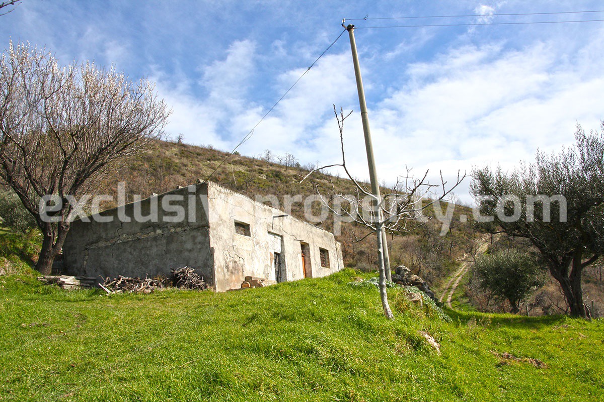 House with olive trees for sale in the Province of Chieti Region Abruzzo 5