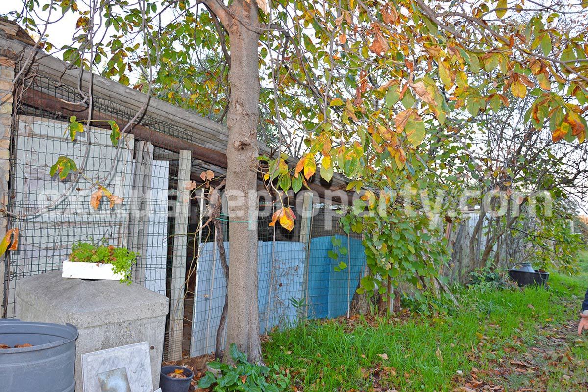 Rural house of character with land and olive trees for sale in Abruzzo 11