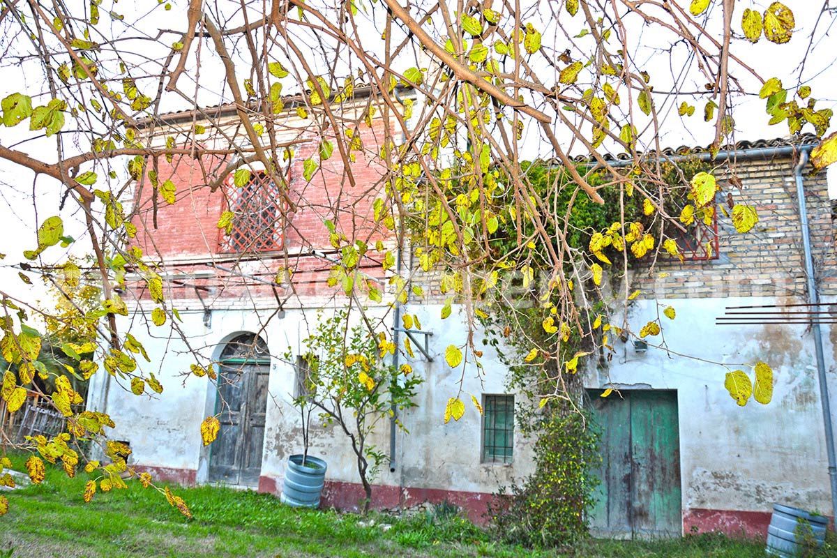 Rural house of character with land and olive trees for sale in Abruzzo 2