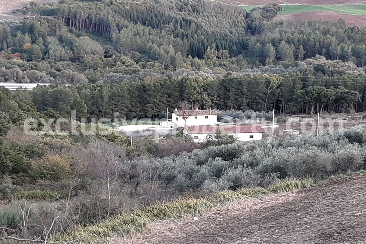 Farm house built from an ancient stone building with land and olive trees for sale in Molise 14