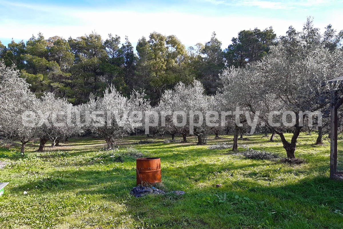 Farm house built from an ancient stone building with land and olive trees for sale in Molise