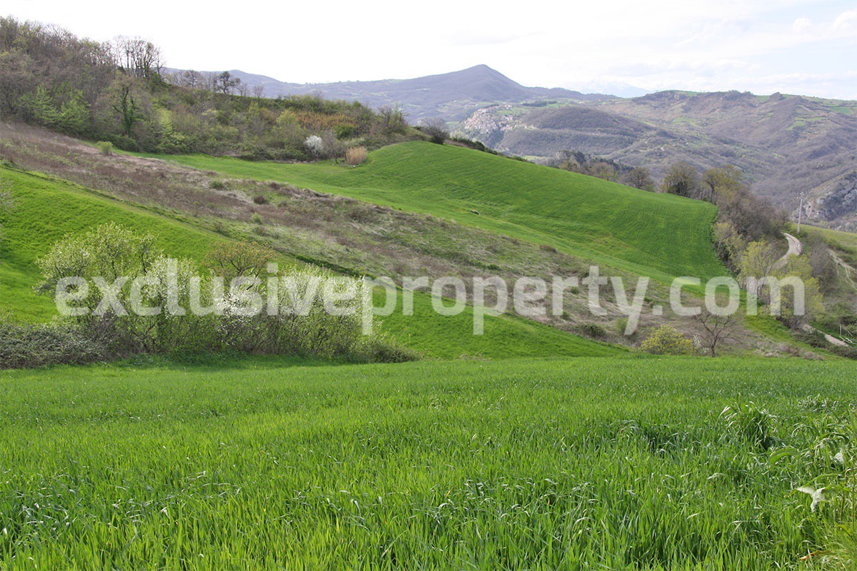 Country house with two hectares of land for sale in Palmoli Abruzzo