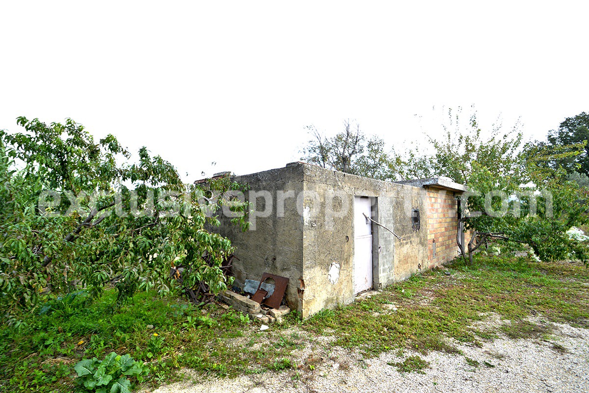 House with large terrace and land with fruit trees for sale in Abruzzo 24
