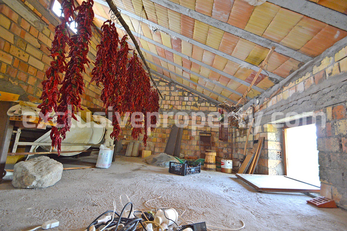 House with large terrace and land with fruit trees for sale in Abruzzo 23
