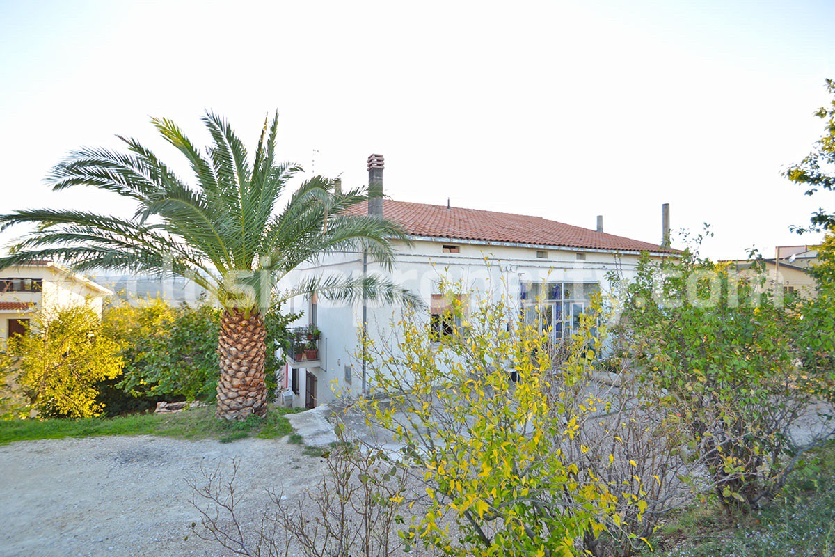 Spacious country house habitable with olive trees for sale close the sea Abruzzo 3