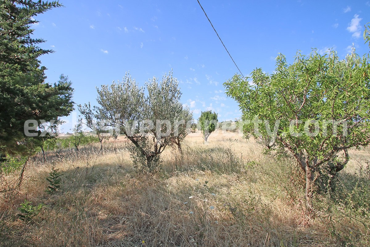 Semi-detached house with land for sale in Abruzzo a few km from the Coast 7