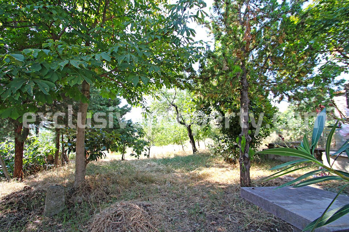 Semi-detached house with land for sale in Abruzzo a few km from the Coast 8