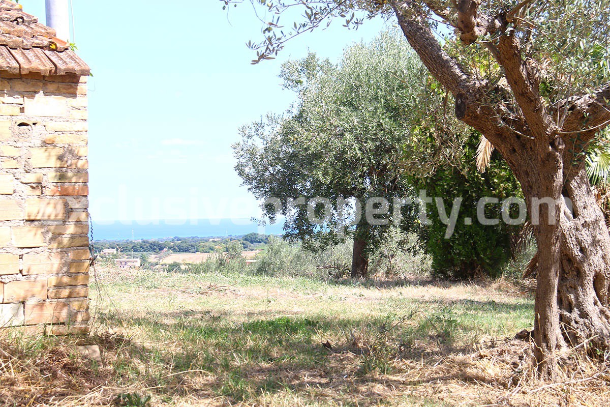 Rustic cottage sea view with land and fruit trees for sale in Abruzzo 3