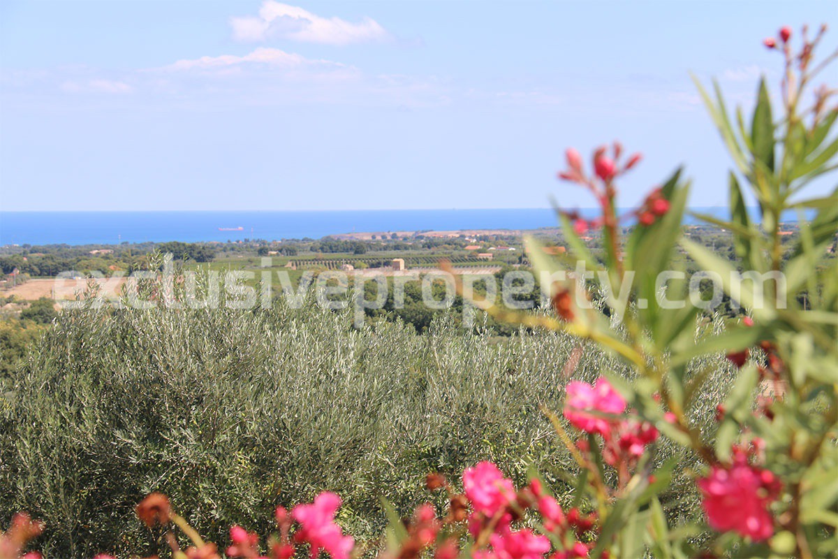 Rustic cottage sea view with land and fruit trees for sale in Abruzzo 4