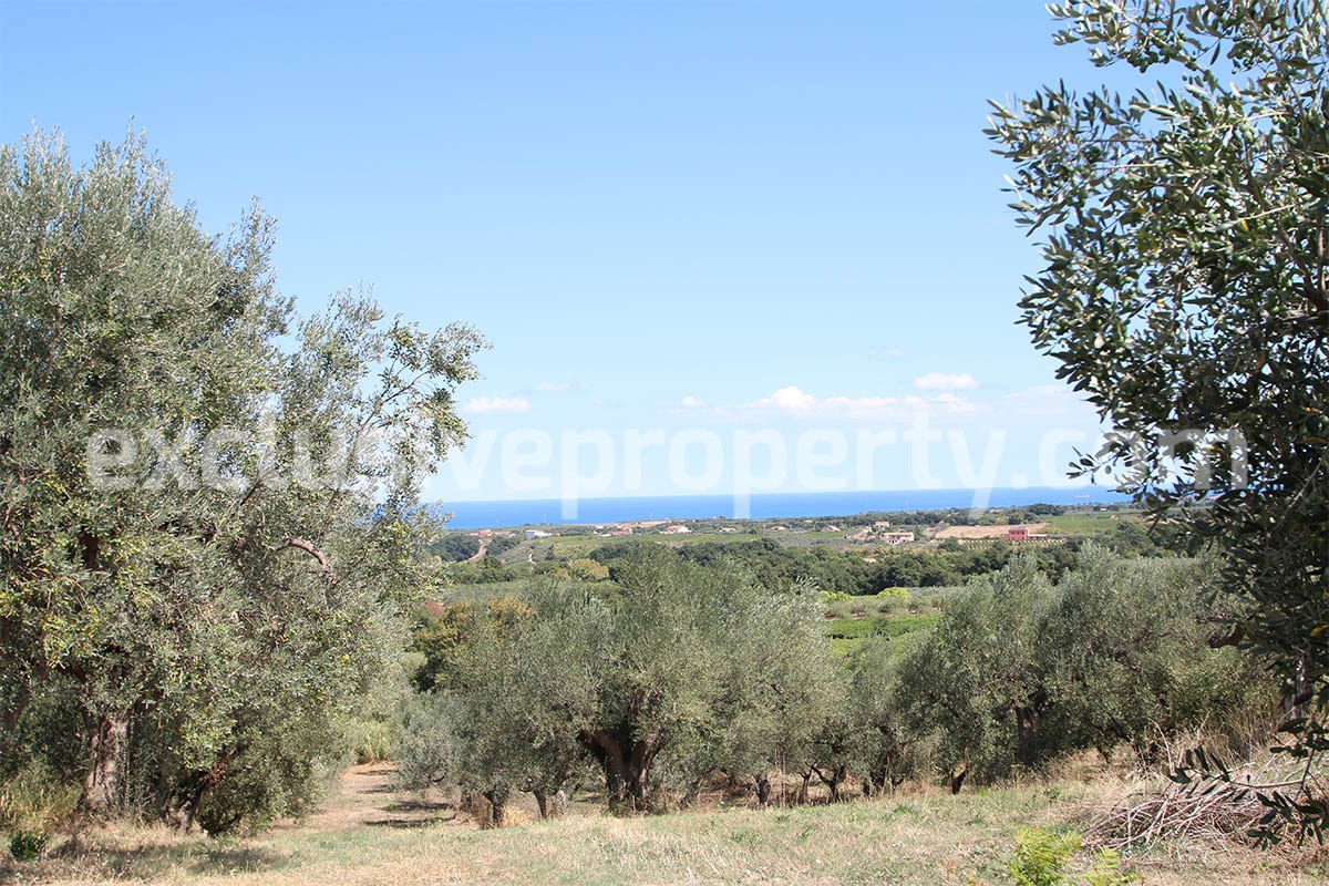 Rustic cottage sea view with land and fruit trees for sale in Abruzzo 5