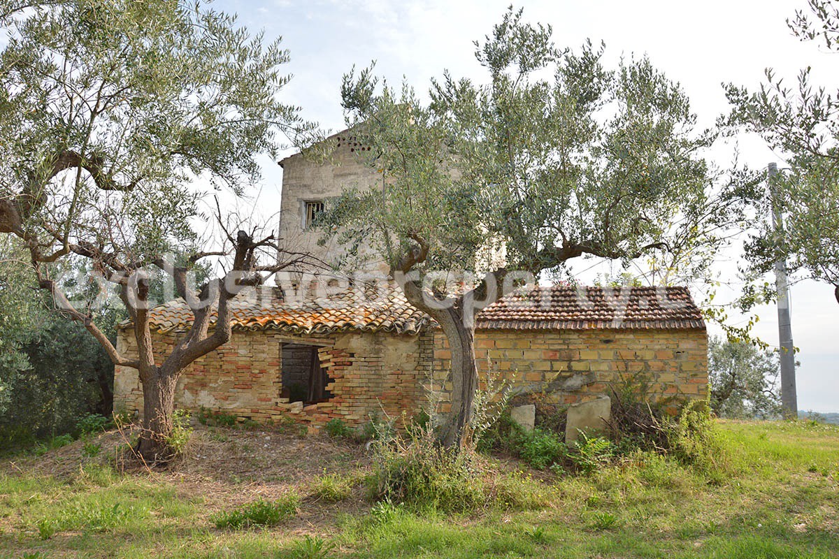Rustic cottage sea view with land and fruit trees for sale in Abruzzo 6