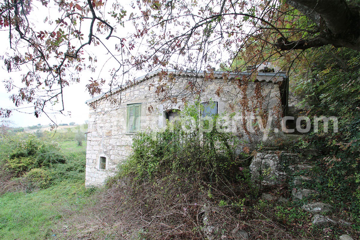 Stone farm house with land for sale in Molise  Village of Bagnoli del Trigno 4