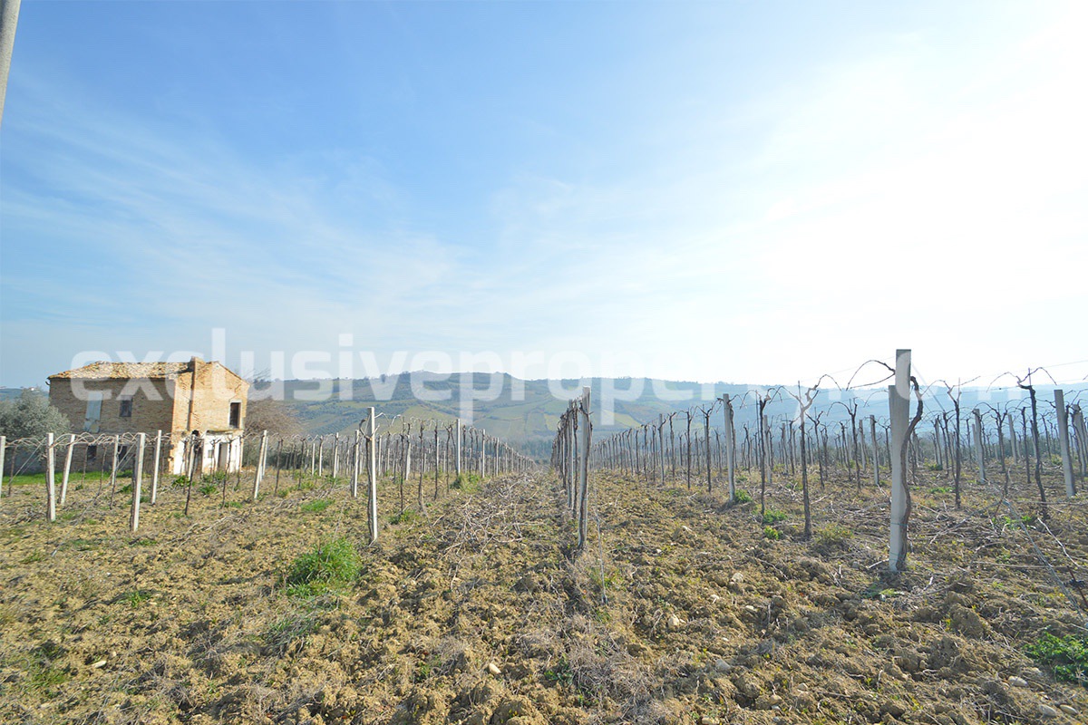Brick farmhouse to renovate with 7 hectares of vineyard land for sale in Abruzzo