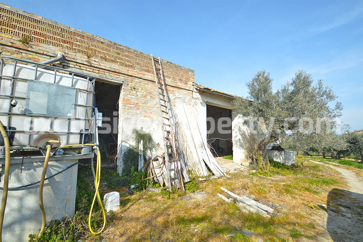 Brick farmhouse to renovate with 7 hectares of vineyard land for sale in Abruzzo
