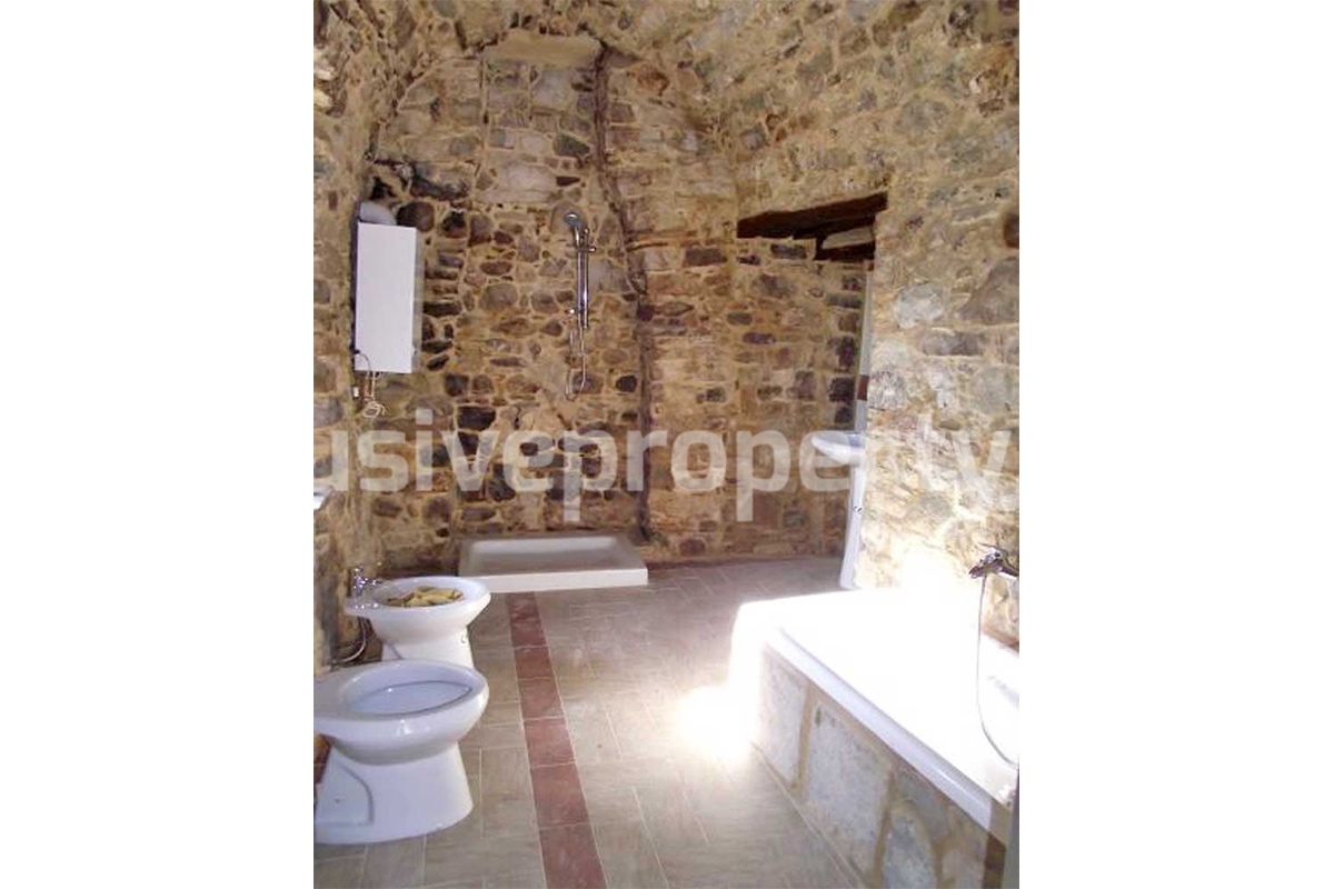 Apartment with stone interiors - renovated - habitable for sale in Molise 1