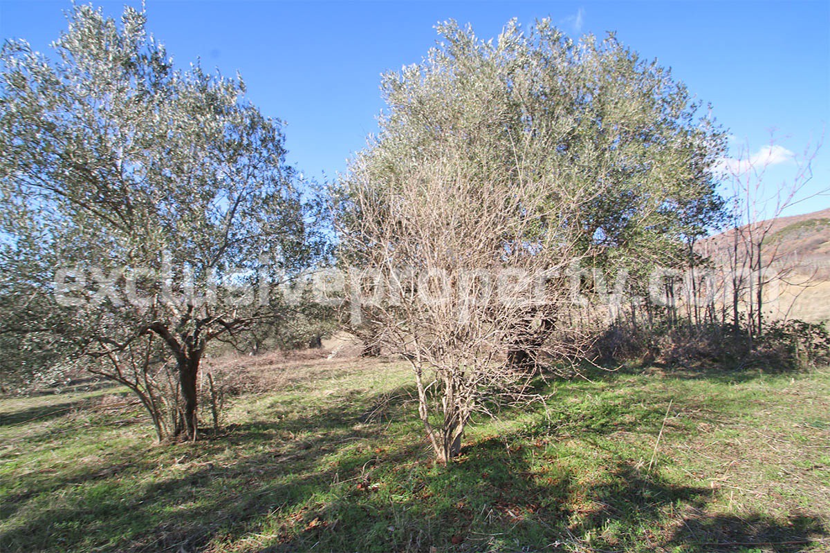 Farm house in good condition with 5 hectares and terrace for sale in Italy 7