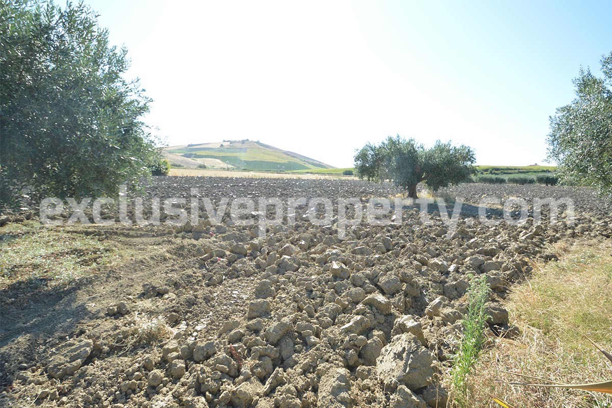 Garage with 3 hectares of land for sale a 2 km from Andriatic sea Molise