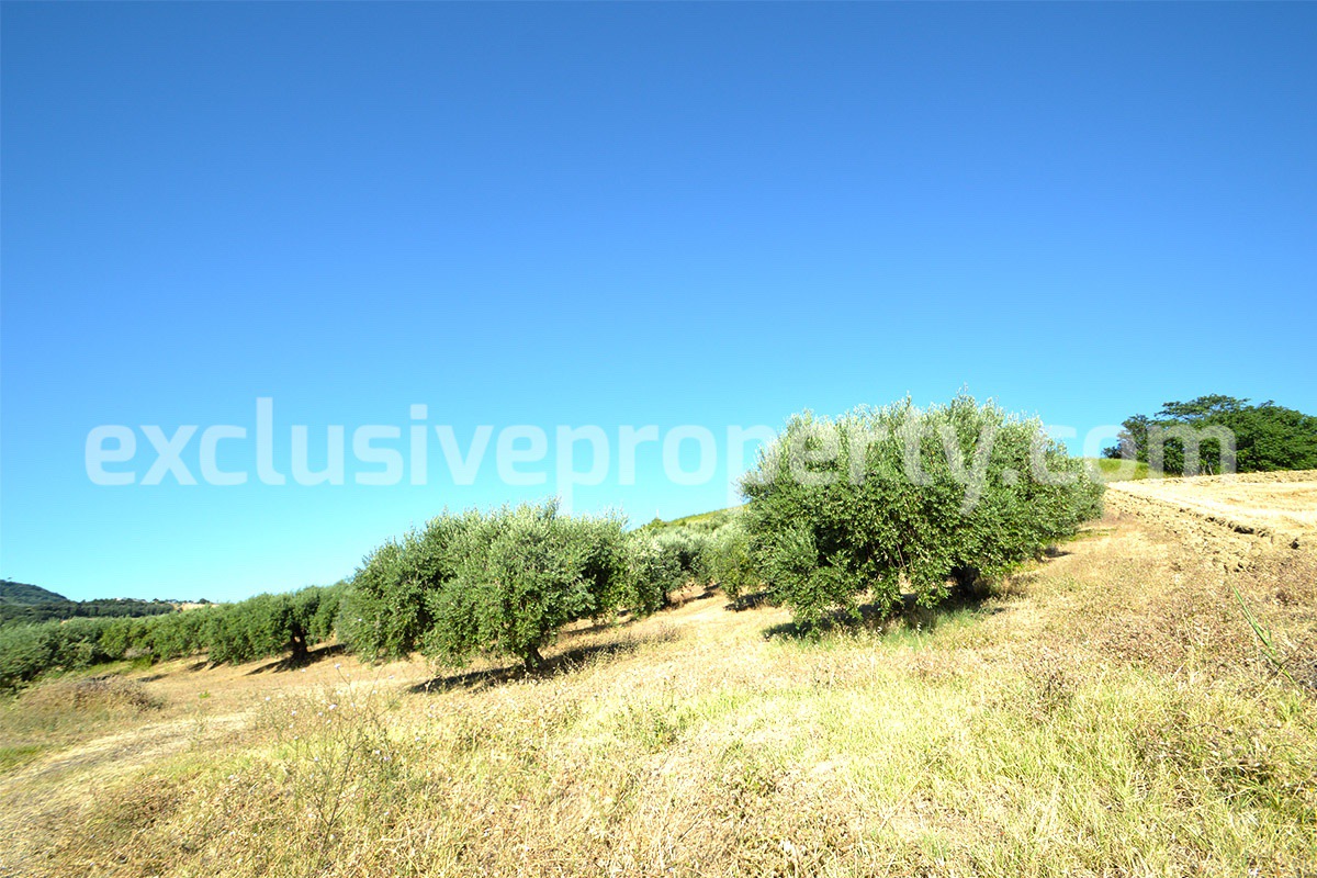Farm house with 2 hectares of land with sea view for sale in Mafalda 9