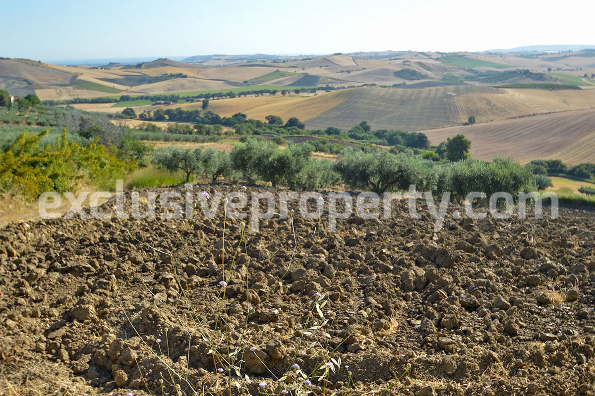 Farm house with 2 hectares of land with sea view for sale in Mafalda 12
