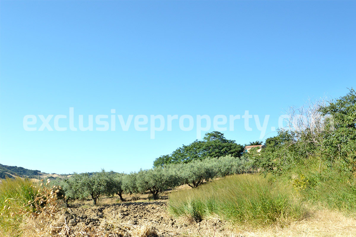 Farm house with 2 hectares of land with sea view for sale in Mafalda 16