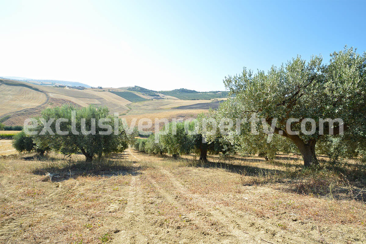 Farm house with 2 hectares of land with sea view for sale in Mafalda 18