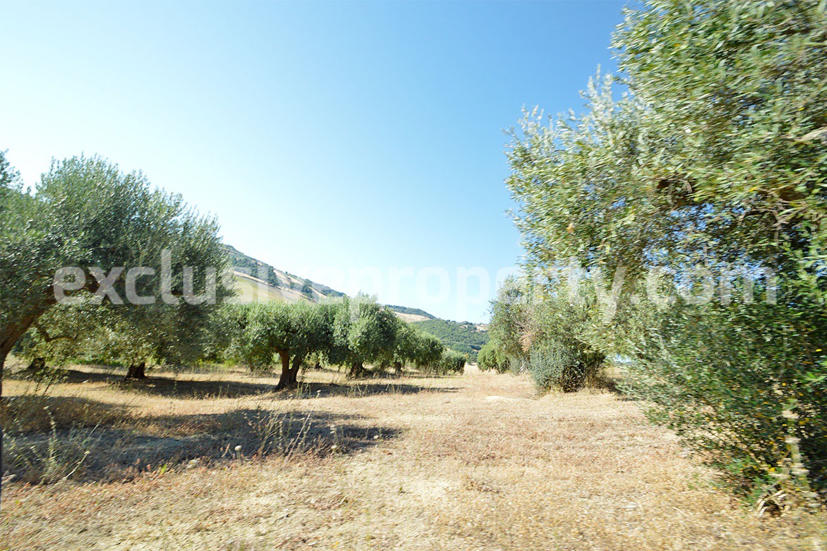 Farm house with 2 hectares of land with sea view for sale in Mafalda