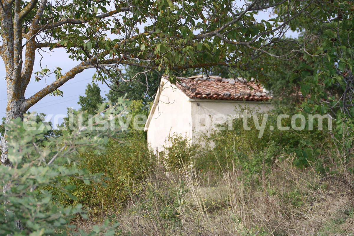 Country house with land in Salcito for sale in Molise 3