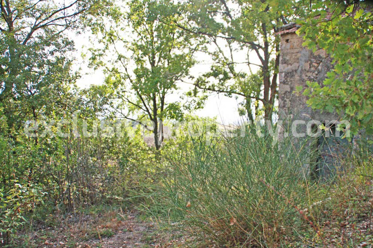 Country house with land in Molise for sale in Salcito