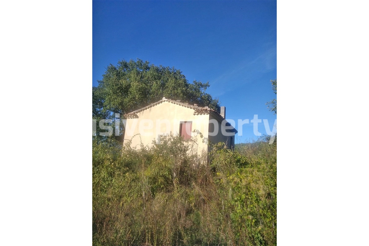Country cottage with 30000 s q m of land for sale in the Molise