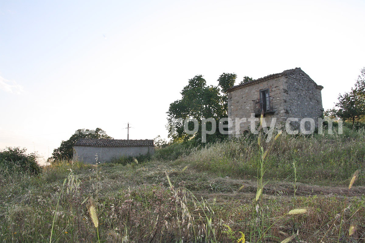 Property with three country houses with land for sale in Salcito