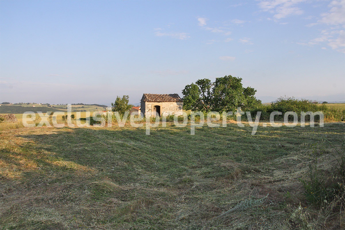 Property with three country houses with land for sale in Salcito
