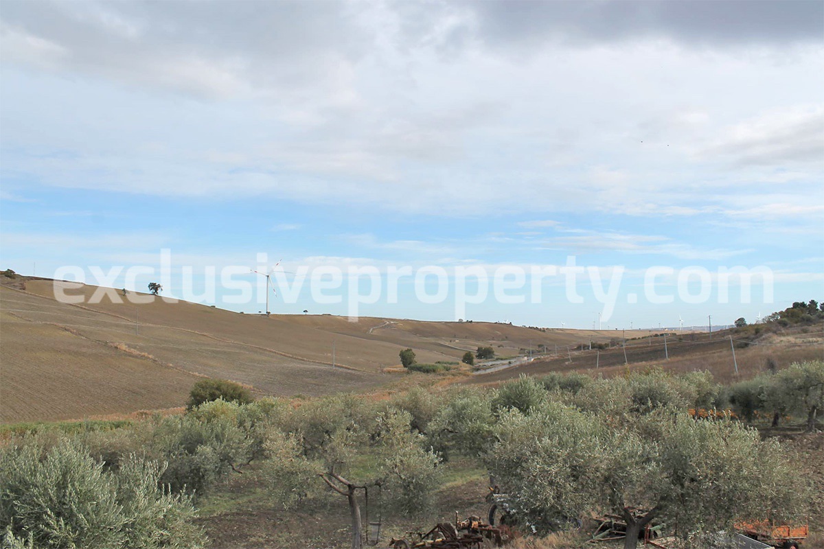 Country house with 1 hectare of arable land and olive grove for sale in Molise 11