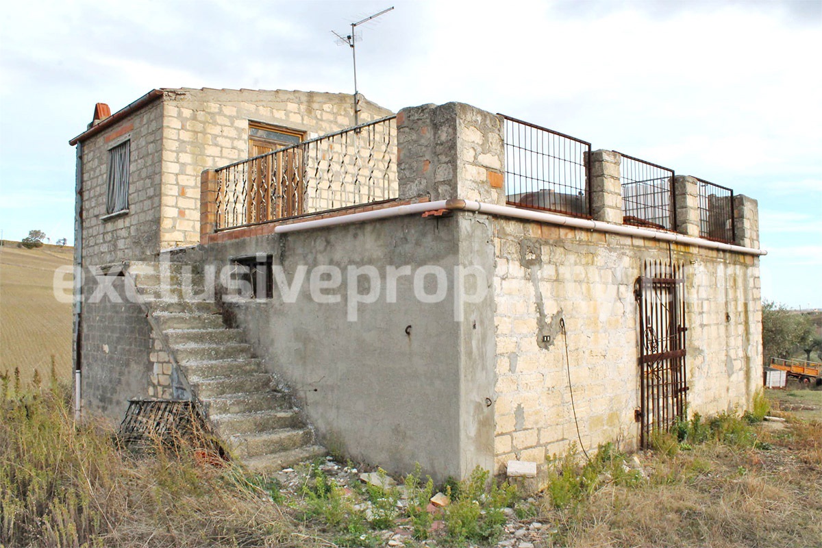 Country house with 1 hectare of arable land and olive grove for sale in Molise 1