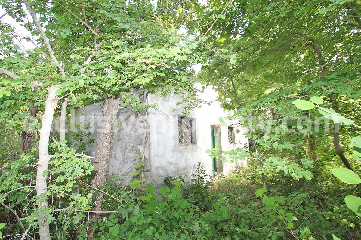 Stone cottage with well and hectares for sale in Abruzzo 4