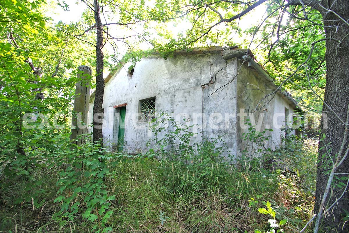 Stone cottage with well and hectares for sale in Abruzzo 1