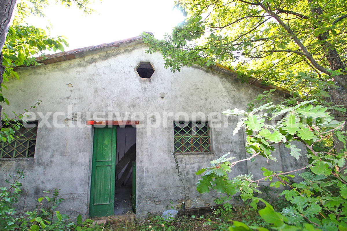 Stone cottage with well and hectares for sale in Abruzzo 3