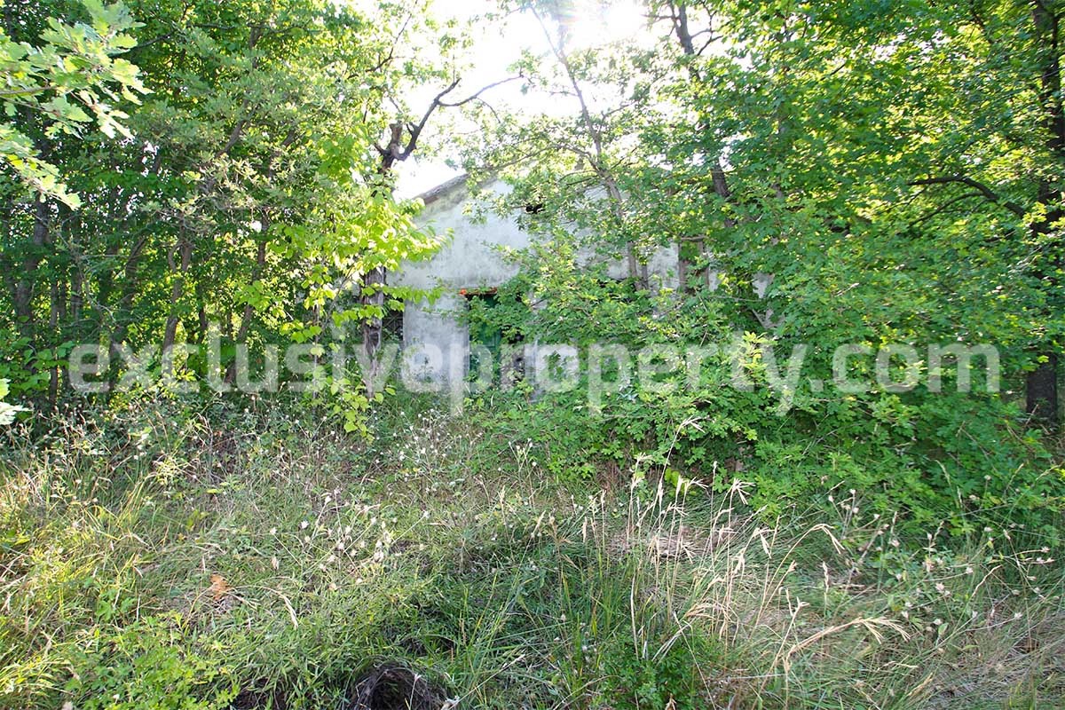 Stone cottage with well and hectares for sale in Abruzzo 6