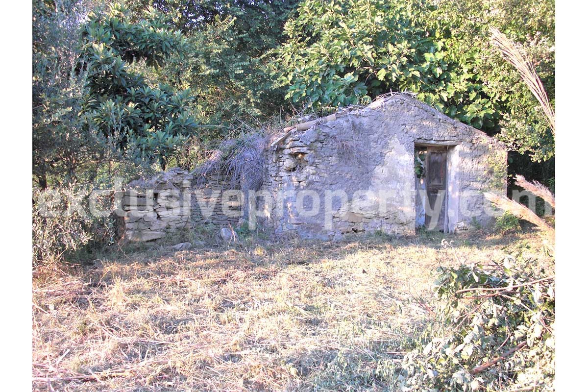 Properties for sale in Abruzzo Ruin with land and water source for sale in Treglio