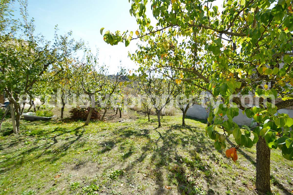 Property for sale in Roccaspinalveti with garden - Abruzzo - Italy 3