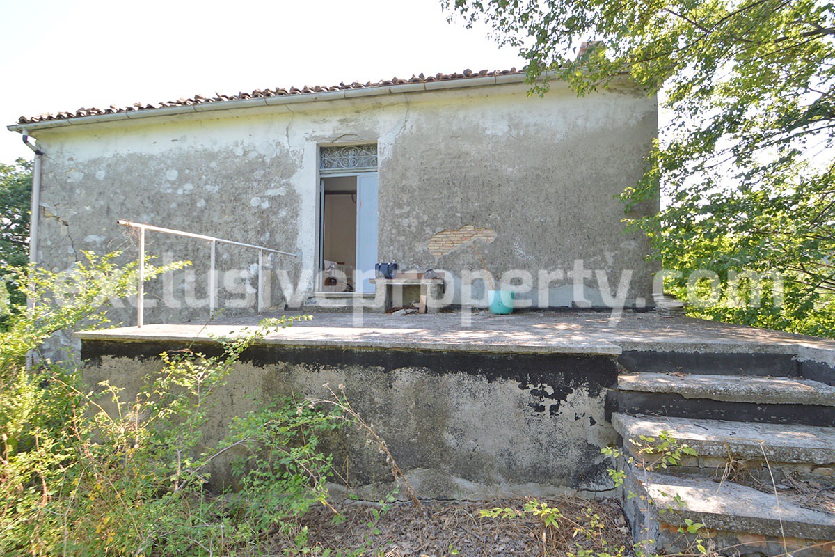 Ancient farmhouse with olive trees for sale near the Adriatic Sea - Abruzzo