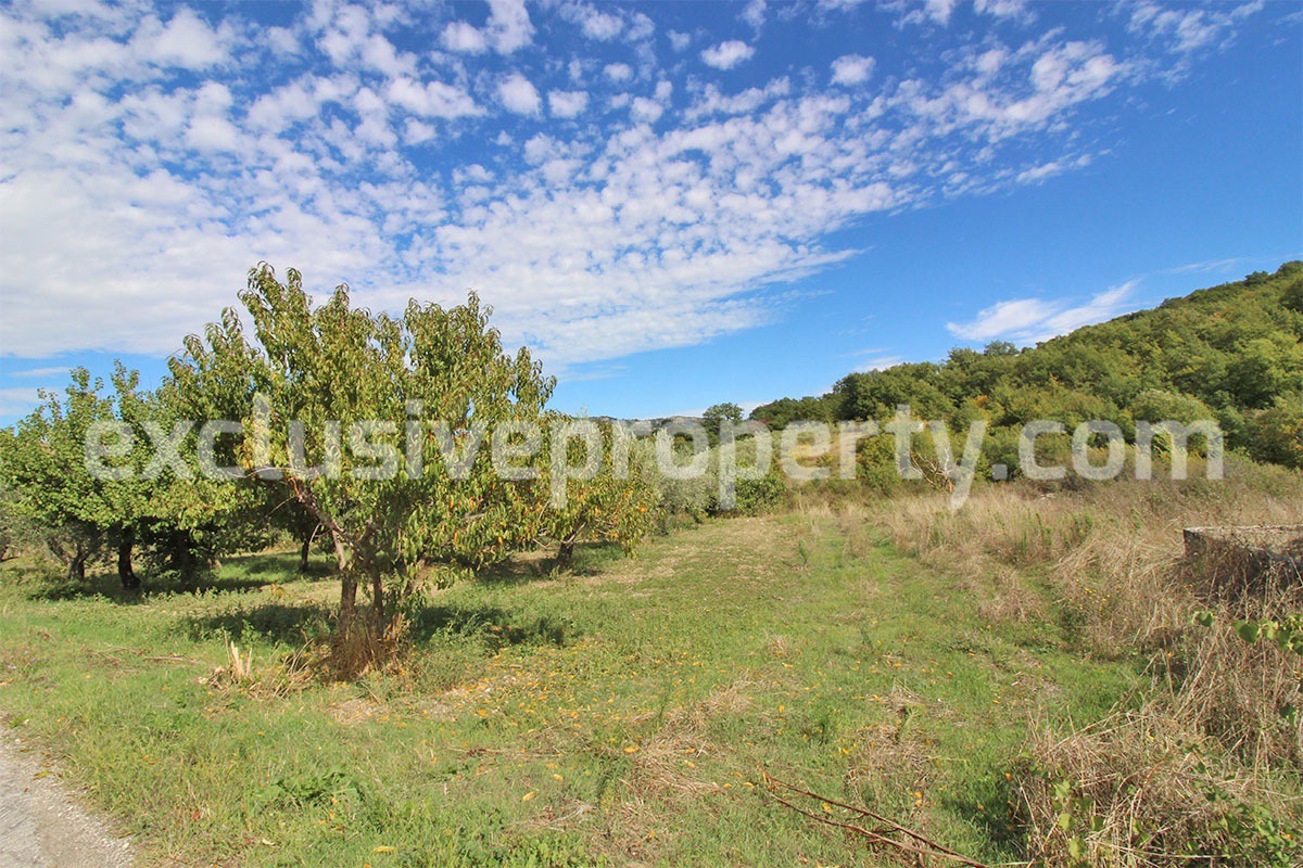 Property with garden for low cost for sale in Abruzzo - Italy