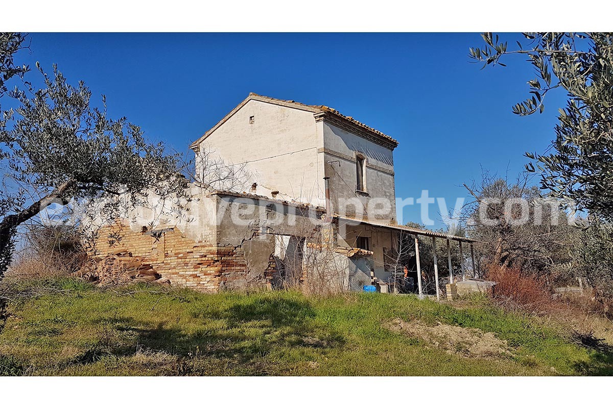Cottage with sea view and flat land 2 hectares for sale in Abruzzo 3