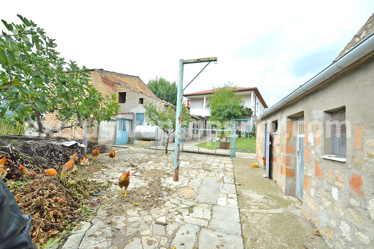 Habitable house with land and outbuildings for sale in Italy 12